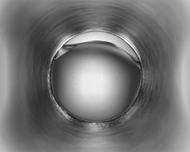 X0000087060906200705021214