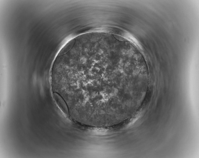 X0000087060907200705021214