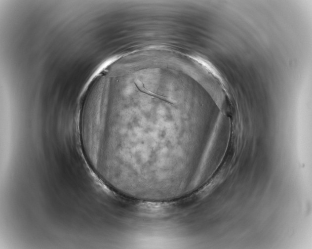 X0000087060910200705021214