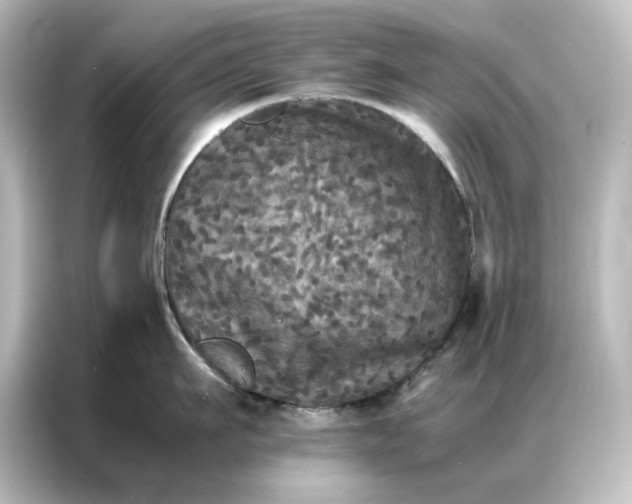 X0000087060911200705021214