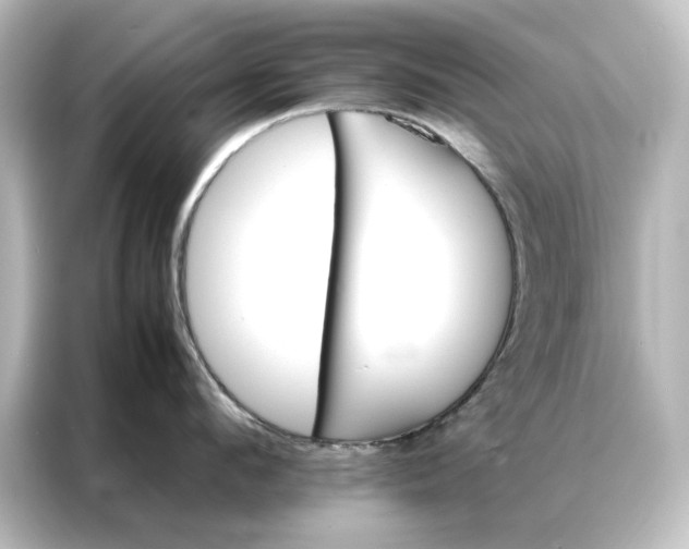 X0000087060912200705021214