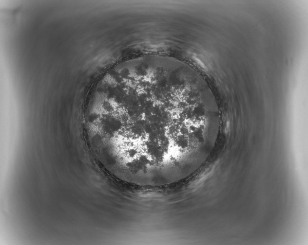 X0000087060913200705021213