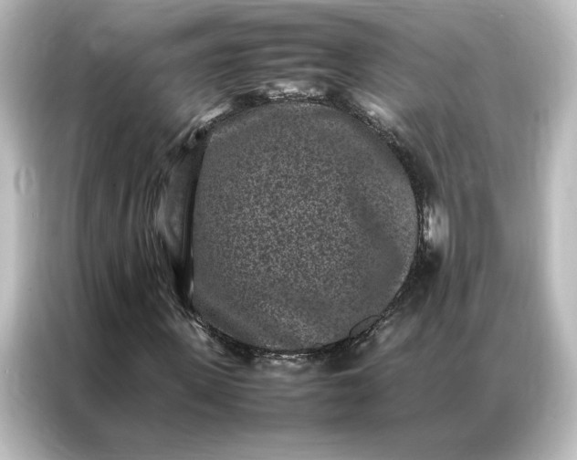 X0000087060915200705021213