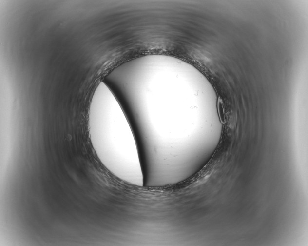 X0000087060916200705021213