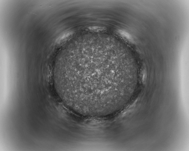 X0000087060917200705021213