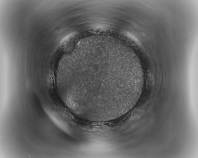 X0000087060918200705021213