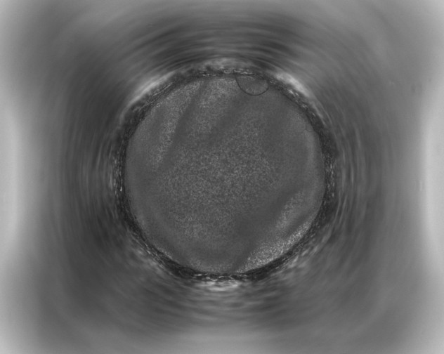 X0000087060919200705021213