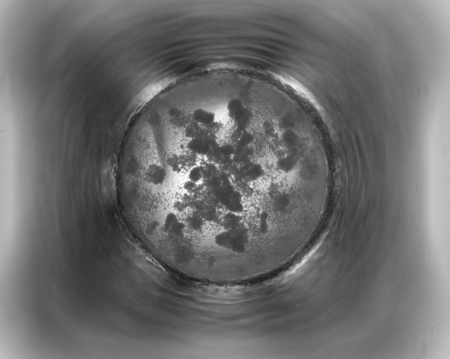 X0000087060921200705021213