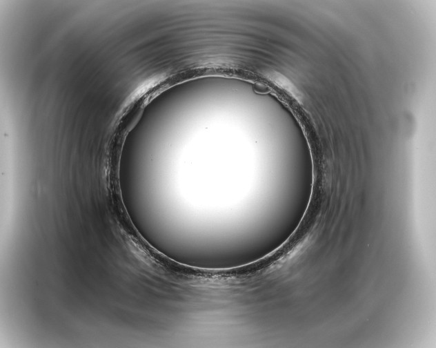 X0000087060922200705021213