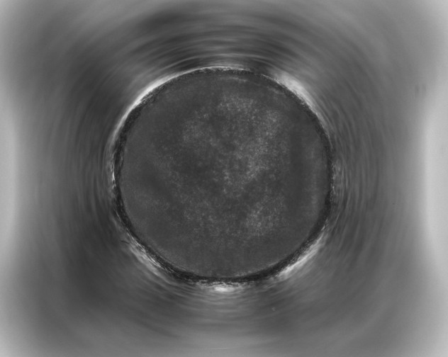 X0000087060923200705021213