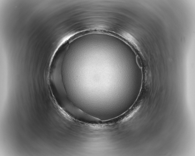 X0000087060924200705021213