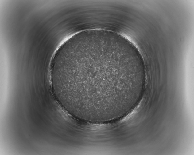 X0000087060925200705021213