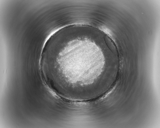 X0000087060928200705021214