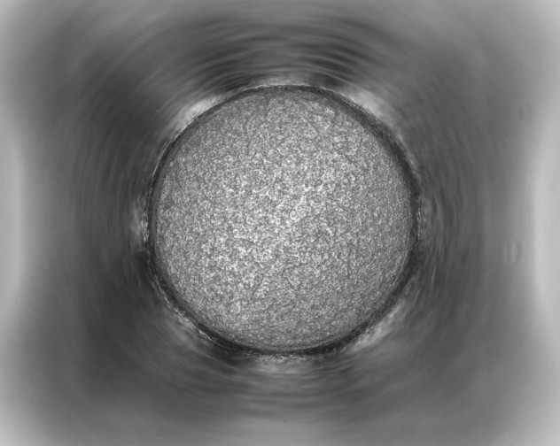 X0000087060929200705021214