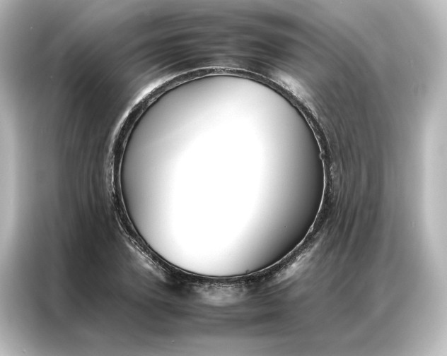 X0000087060931200705021214