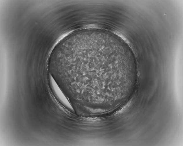 X0000087060933200705021214