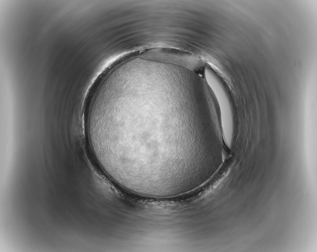 X0000087060934200705021214