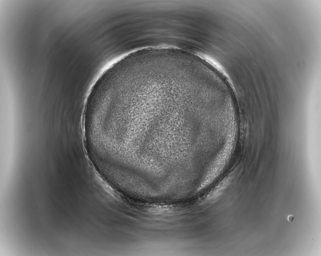 X0000087060935200705021214