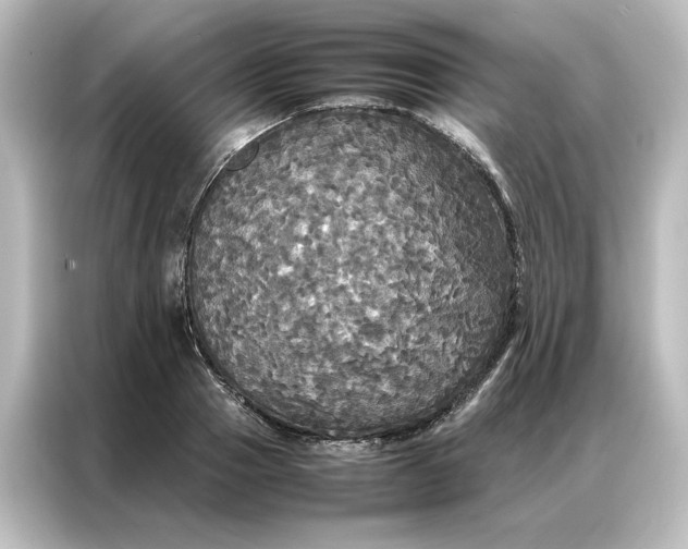 X0000087060937200705021214