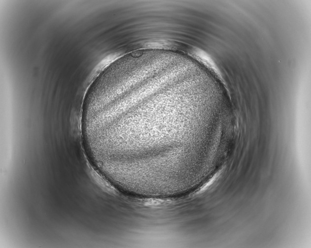 X0000087060938200705021214