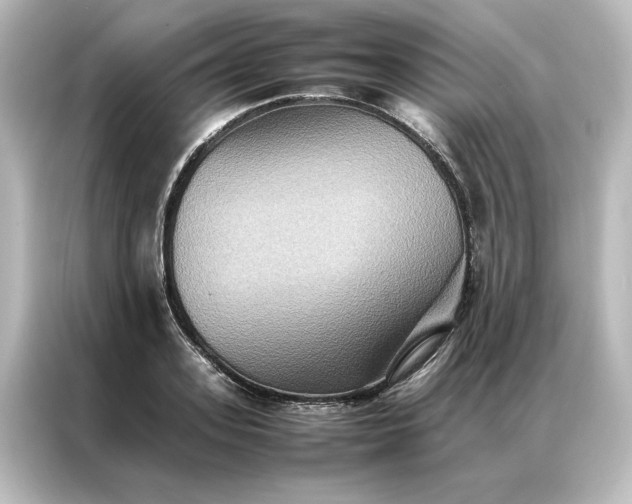 X0000087060939200705021214