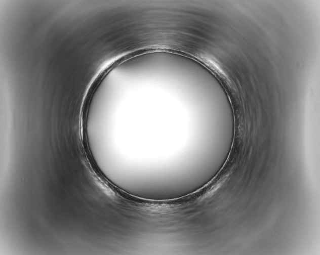 X0000087060940200705021214