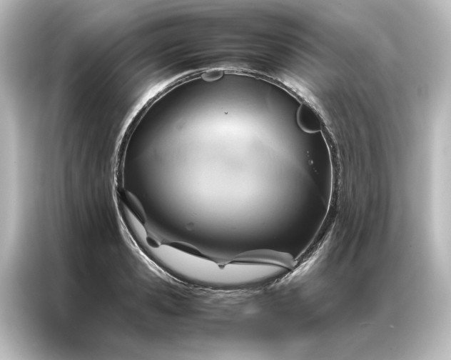 X0000087060941200705021214