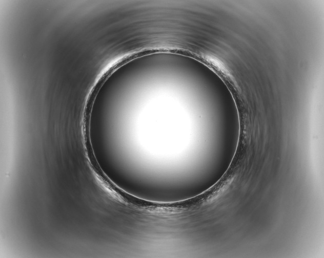 X0000087060942200705021214