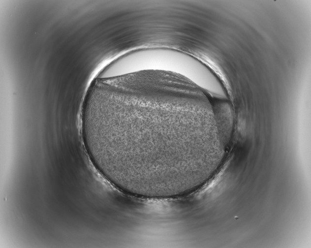 X0000087060944200705021214