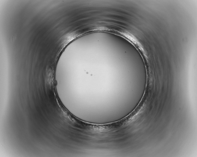 X0000087060945200705021214