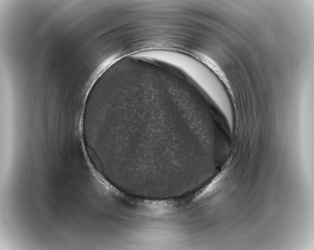 X0000087060946200705021214