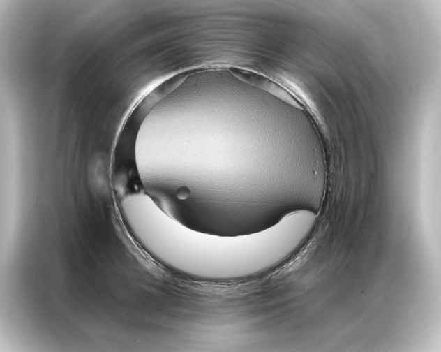 X0000087060948200705021214