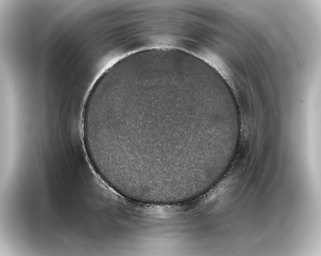 X0000087060950200705021214