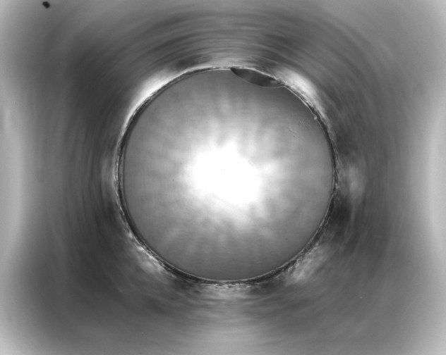 X0000087060952200705021214