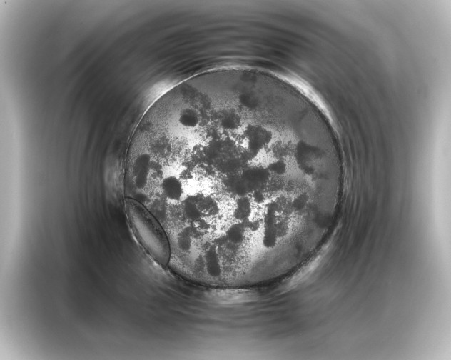 X0000087060953200705021214