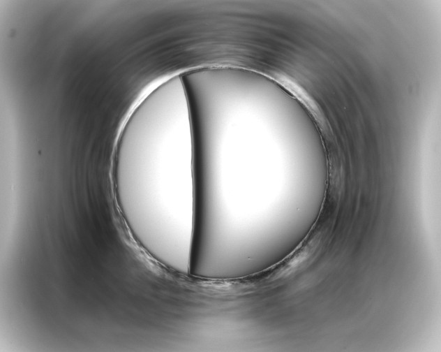 X0000087060956200705021214