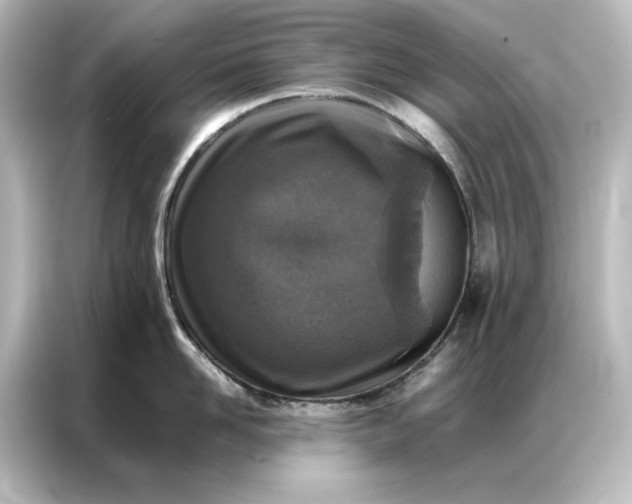 X0000087060958200705021214