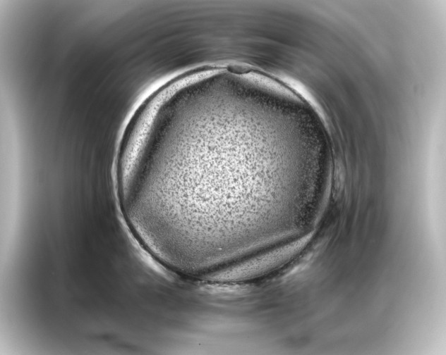 X0000087060959200705021214