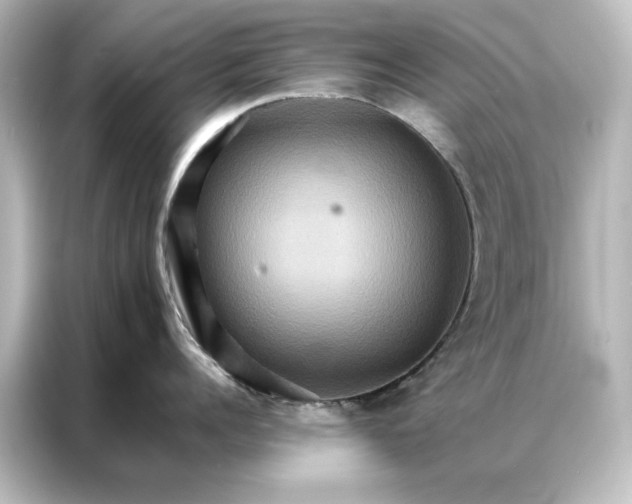 X0000087060960200705021214