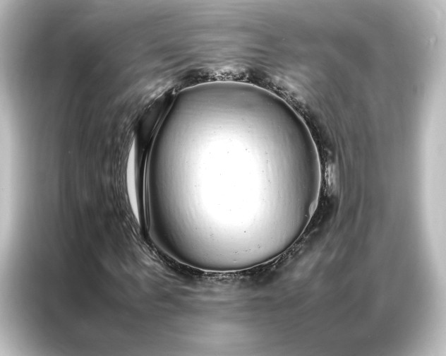 X0000087060963200705021213