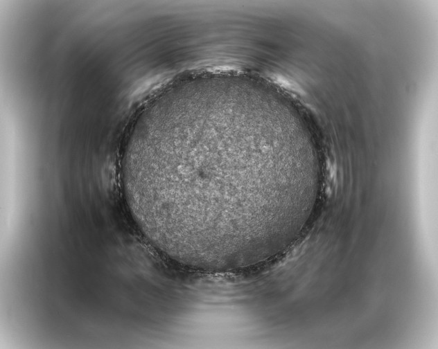 X0000087060966200705021213