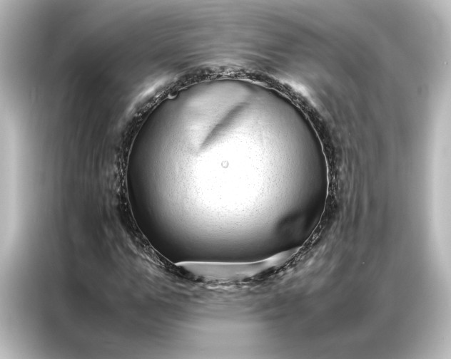 X0000087060967200705021213