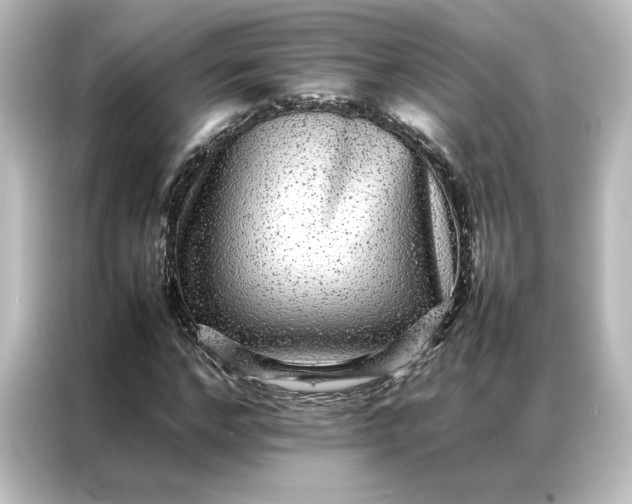 X0000087060968200705021213