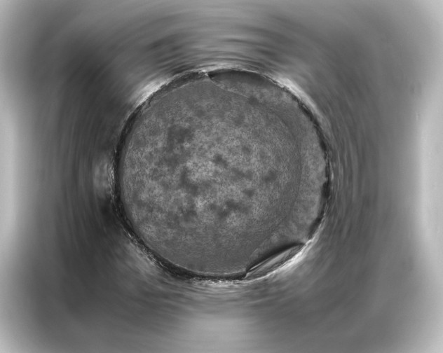 X0000087060969200705021213