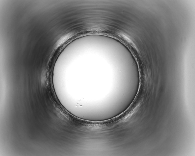 X0000087060970200705021213