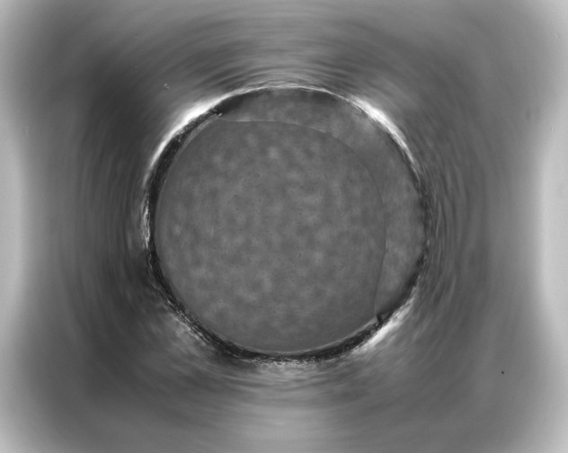 X0000087060973200705021213