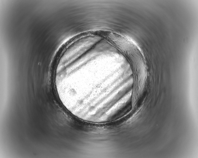 X0000087060975200705021213