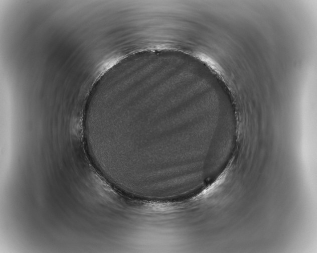 X0000087060977200705021213