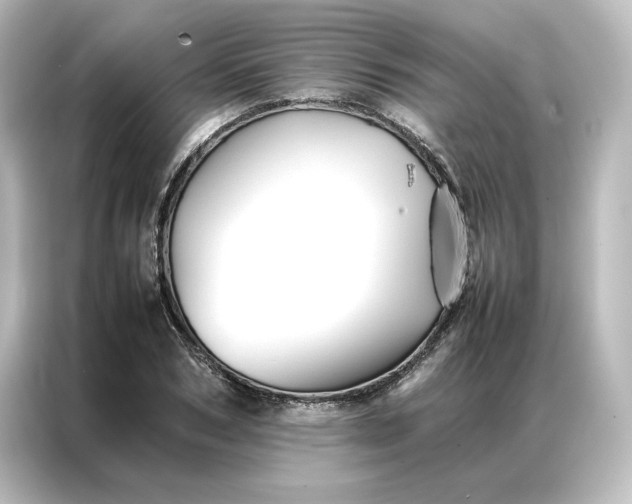 X0000087060978200705021213