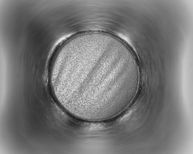 X0000087060979200705021213